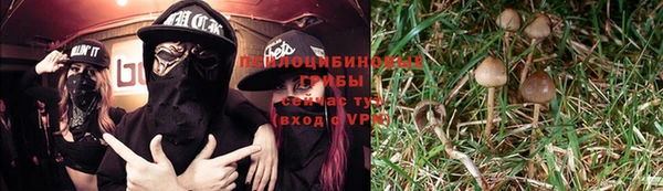 дмт Алексин