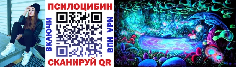 OMG ССЫЛКА  наркота  Фатеж  Псилоцибиновые грибы Magic Shrooms 