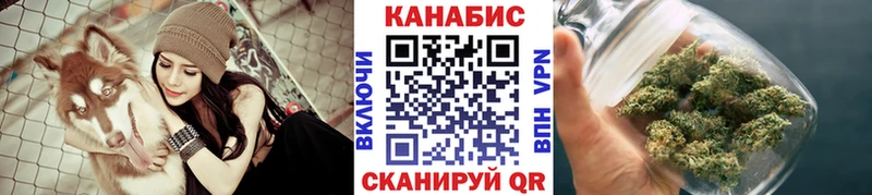 Шишки марихуана THC 21%  где найти   Фатеж 